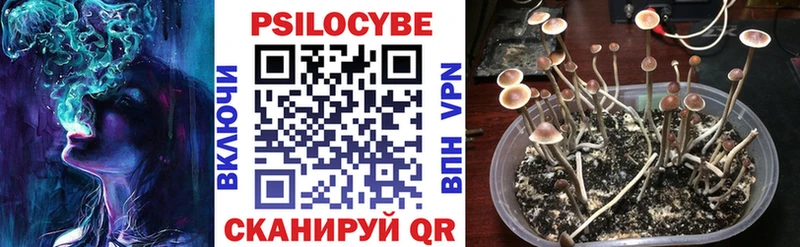 Псилоцибиновые грибы мухоморы  omg вход  Белый  купить наркотики сайты 